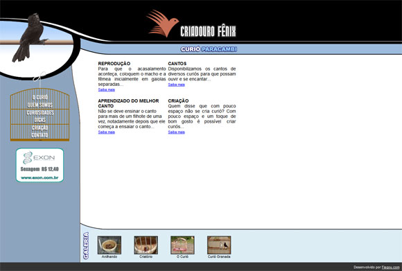 Visite o Site!