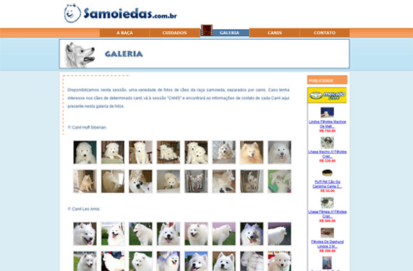 Visite o Site!
